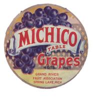 Michico_Grapes.jpg